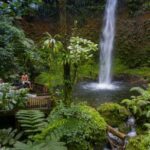 Guida al viaggio a Dominica: cascate e sentieri nascosti all'HikeFest 2026