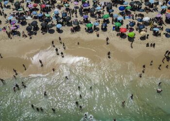 Swimmers return to Rio de Janeiro's beaches thanks to the successful cleanup operation