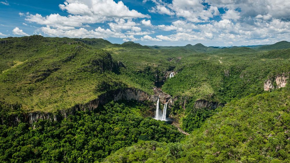 White dunes, blue lagoons and rare wildlife: a guide to Brazil's best natural wonders