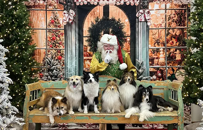 Vivi la magia del Natale a Skagit Acres