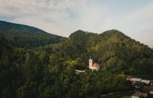 Guida a Kočevsko: cosa vedere nella foresta profonda del viaggio in Slovenia