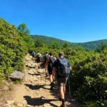 Guida alle Avventure Outdoor nei Smokies: Cosa Vedere e Fare nel Parco