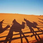 Viaggio alle città imperiali del Marocco e deserti del Sahara: cosa vedere