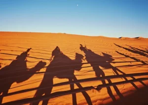Viaggio alle città imperiali del Marocco e deserti del Sahara: cosa vedere
