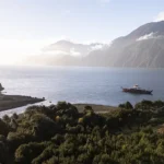 Guida a La Strada dei Parchi: Viaggio verso Pumalín, Patagonia Cile