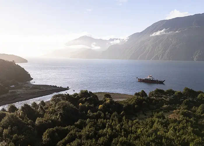 Guida a La Strada dei Parchi: Viaggio verso Pumalín, Patagonia Cile