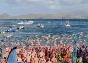 Guida al viaggio: nuotare nel canale tra Nevis e St. Kitts, cosa vedere