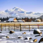Guida a Febbraio nella Valle di Skagit: Cosa Vedere e Fare in Viaggio