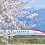 Viaggio a Tokyo e dintorni: 8 imperdibili destinazioni per il ciliegio in fiore