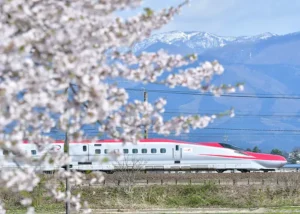 Viaggio a Tokyo e dintorni: 8 imperdibili destinazioni per il ciliegio in fiore