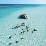 Cosa vedere alle Isole Cayman a febbraio: guida per un viaggio ideale