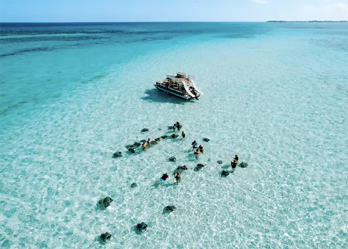 Cosa vedere alle Isole Cayman a febbraio: guida per un viaggio ideale