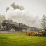 Guida 2024: cosa vedere sulla Steam Railroad per un'estate indimenticabile