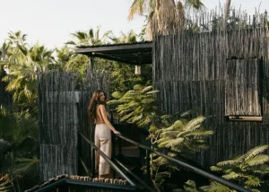 Viaggio estivo all’Acre Resort: case sugli alberi per adulti senza folla