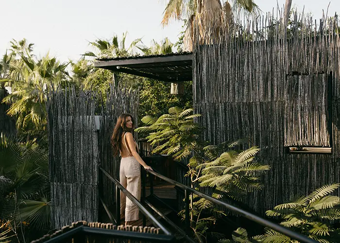 Viaggio estivo all'Acre Resort: case sugli alberi per adulti senza folla