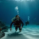 Viaggio economico nei Caraibi: guida per la certificazione PADI subacquea