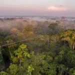 Viaggio in Ecuador: guida alle Galápagos, Amazzonia e Ande da scoprire
