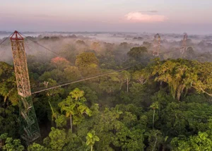 Viaggio in Ecuador: guida alle Galápagos, Amazzonia e Ande da scoprire