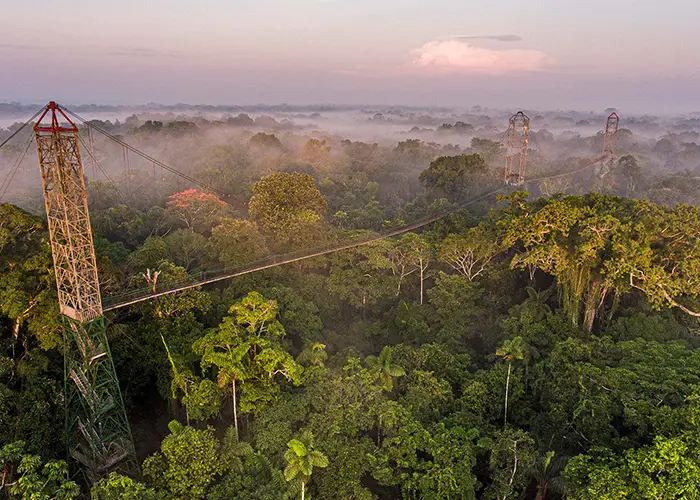 Viaggio in Ecuador: guida alle Galápagos, Amazzonia e Ande da scoprire