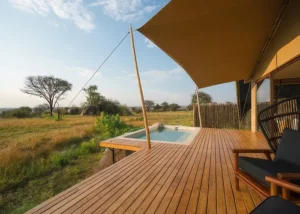 Guida a Warangi Ridge: spa e benessere esclusivi negli Asili del Serengeti